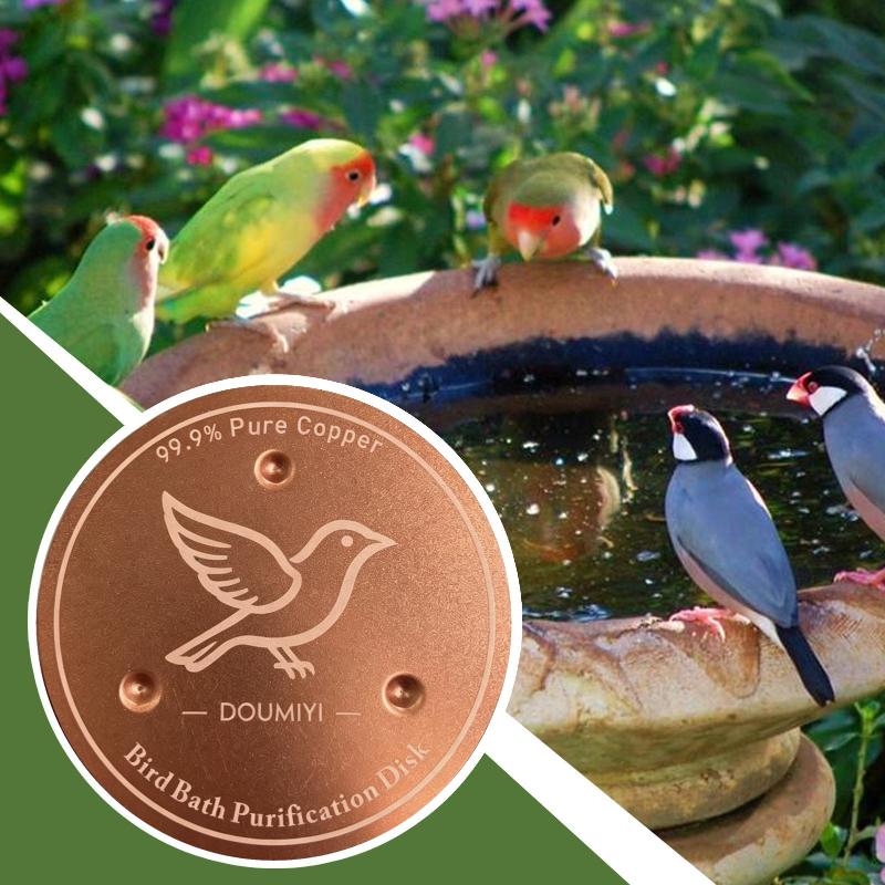 Bath - Bird Bath Copper Disk Copper Cleaning