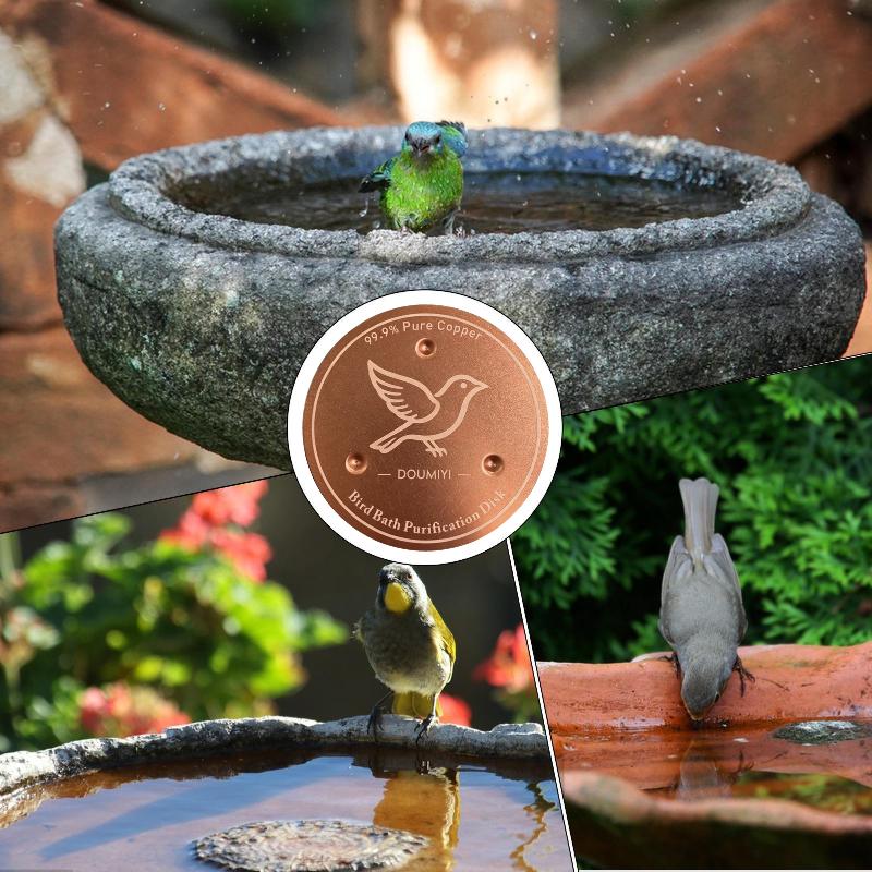 Bird Bath Copper Disk Copper C - Bath ulasan dan harga