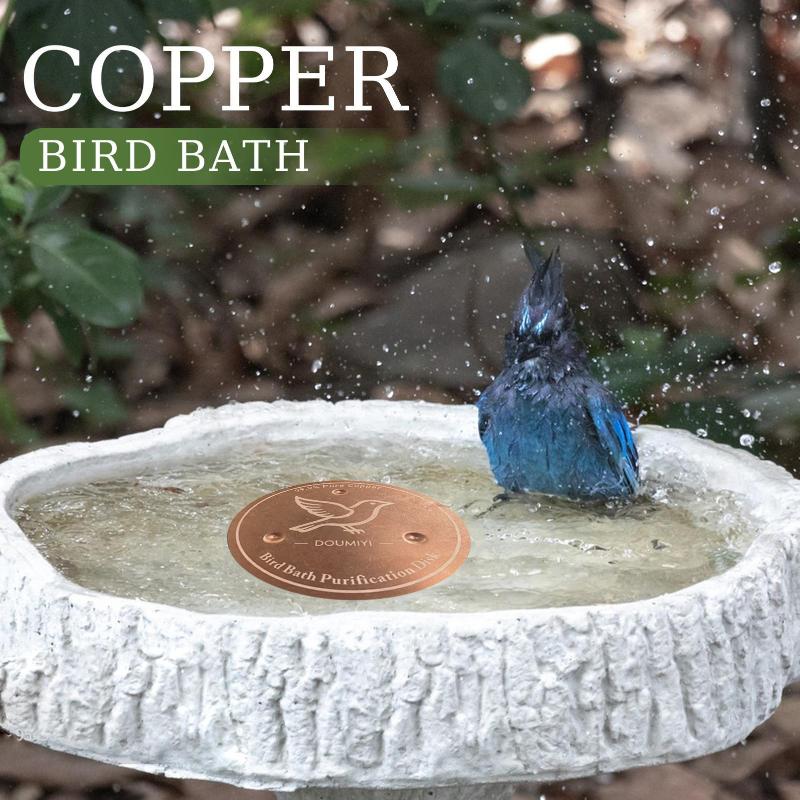 Bird Bath Copper Disk Copper C - Bath ulasan dan harga